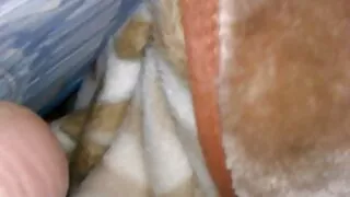 স্লুটিশ গার্লফ্রেন্ড ...