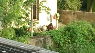 মামি কিয়োমোটো রান্ন ...