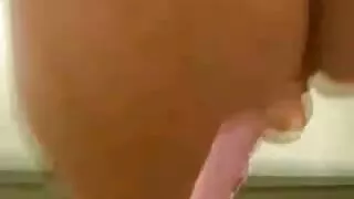 নোনতা স্বর্ণকেশী চিক ...