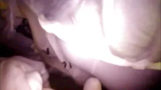 বাষ্পযুক্ত জাপানি পর ...