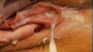 বাংলা এইচডি সেক্স ভিডিও