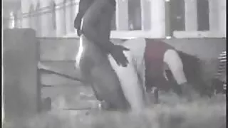 নাইলন স্টকিংস মধ্যে  ...