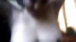 তাজা মুখের ব্রাউনহেড ...