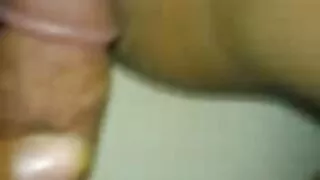 বিগ বটমড ব্ল্যাক হেড ...
