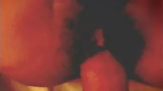 হোয়াইট রেভেন কেশবিশ ...