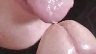 জুগি আবলুস কুক্কুট s ...